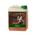 WES Energy Boost 5 l