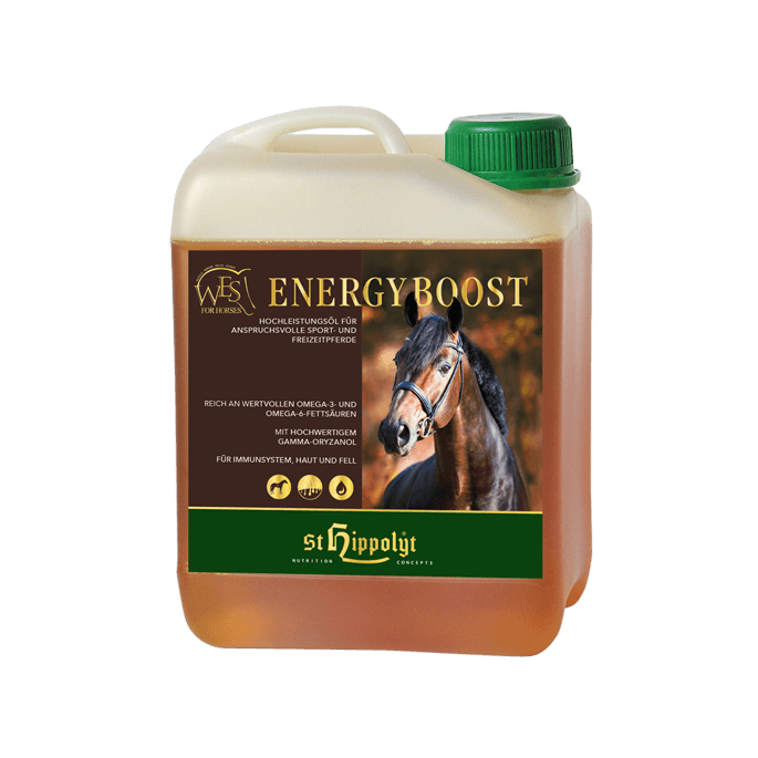 WES Energy Boost 5 l