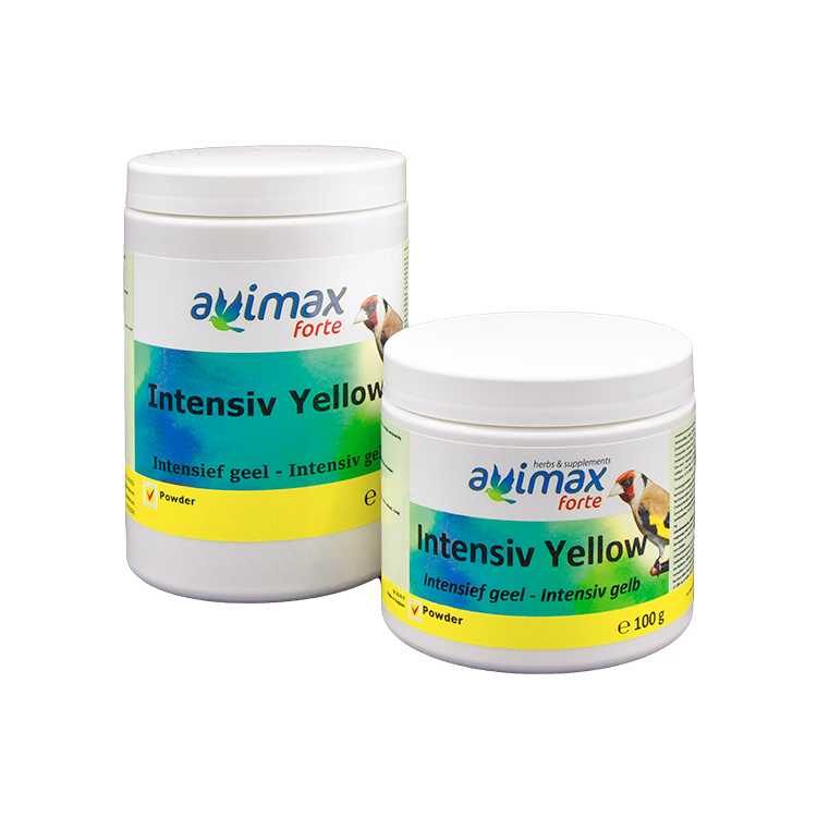 Intensive Yellow - 3