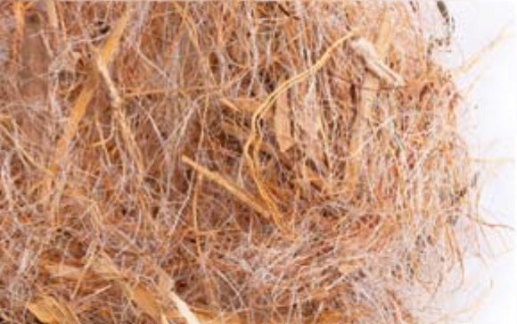 COCCO-SISAL-MELIC-MAIZE bract 500 g