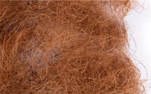 COCCO 500 g