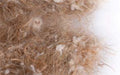 ANIMAL-VEGETABLE 500 g