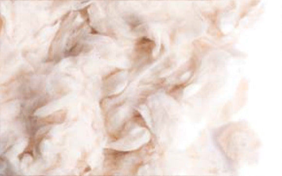 COTONE 500 g