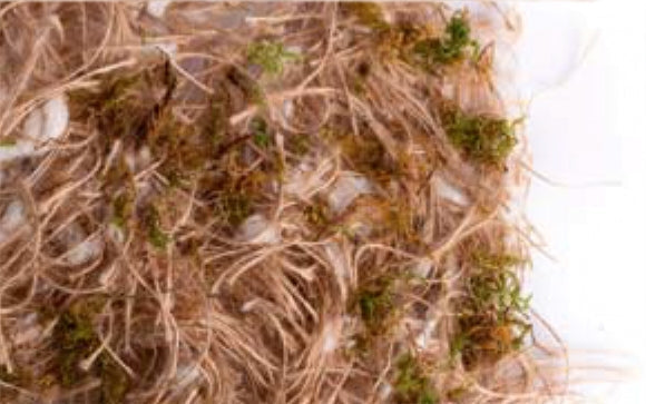 JUTE-COTONE-MOSS 500 g