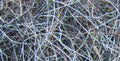 Dark-She-Goat hair 50 g