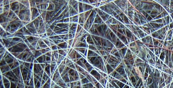 Dark-She-Goat hair 50 g