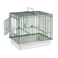 Transportkooi "Cincia" 17,5x24,5x22 cm groen