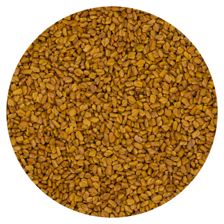 Fenegriek