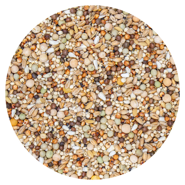 Sierduiven zonder maïs 607 - 20 kg