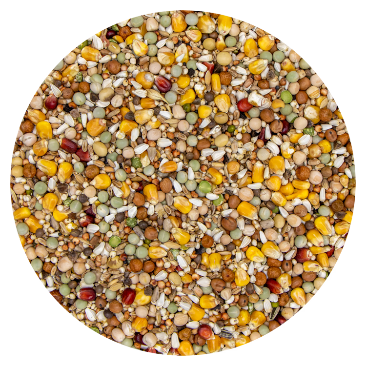 Premium Zuivering 620 - 20 kg