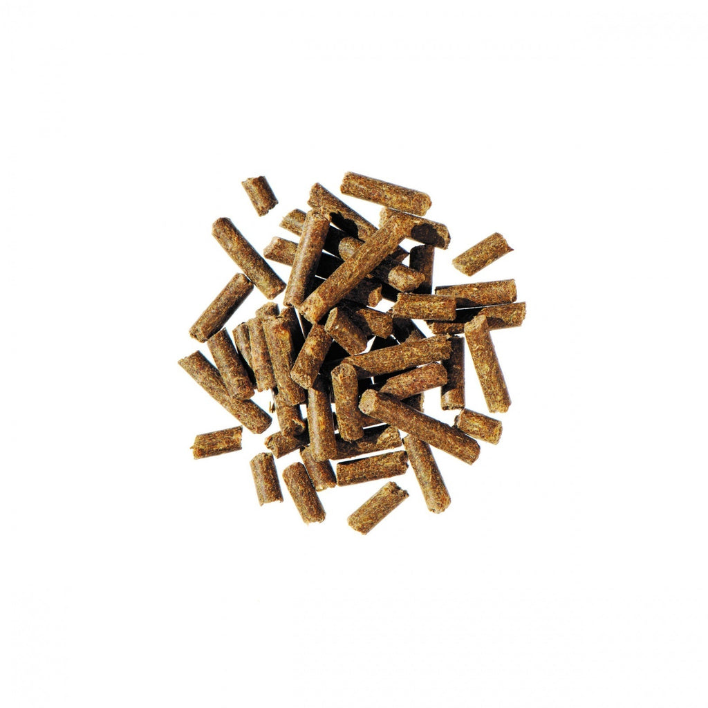 Bierhefe Pur 3 kg - 2