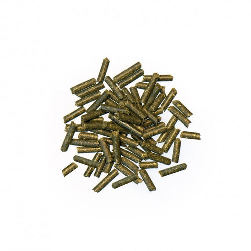 Amino Pur - 2
