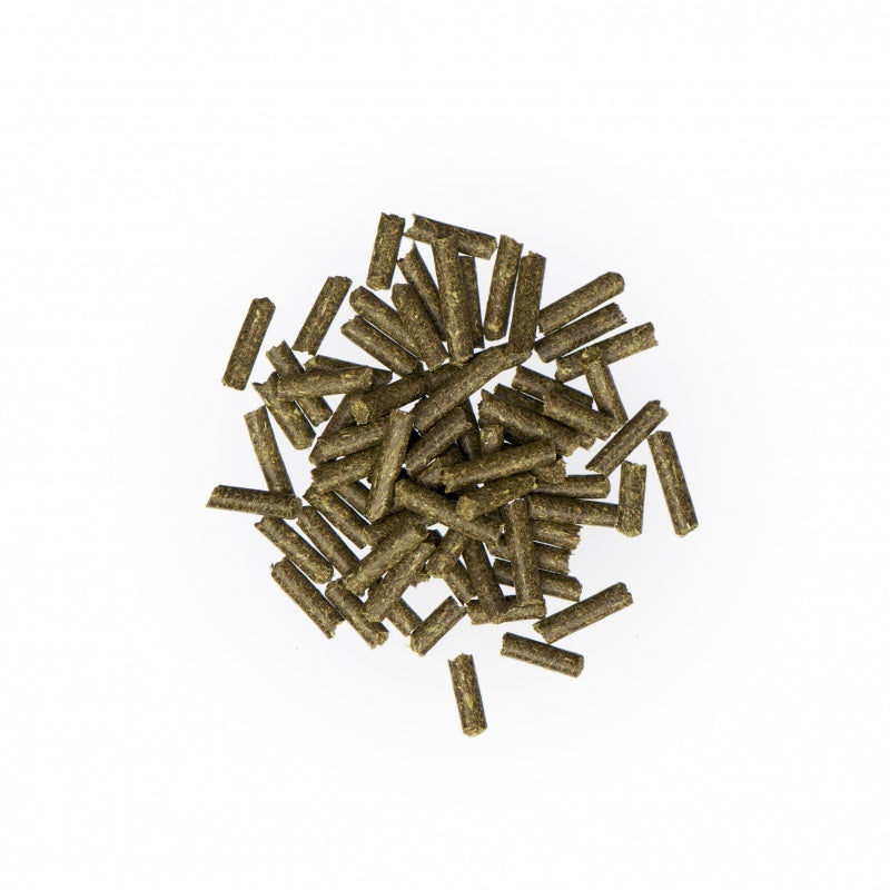 Selen Pur 700 g - 2