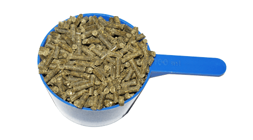 Daily Vitamins & Minerals 2 kg - 2