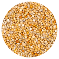 Classic Exoten 337 - 20 kg