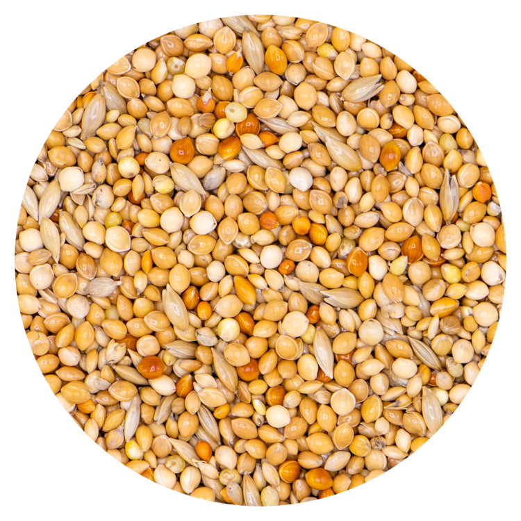Classic Exoten 337 - 20 kg