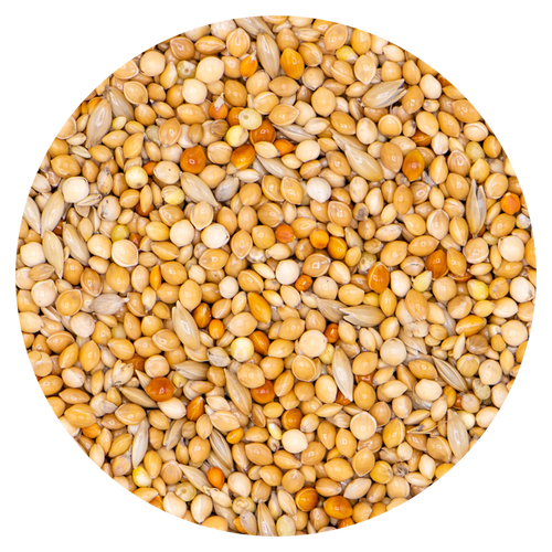 Classic Exoten 337 - 20 kg