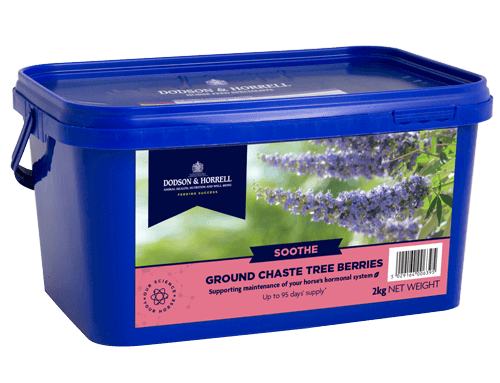 Chaste Tree Berries 2 kg