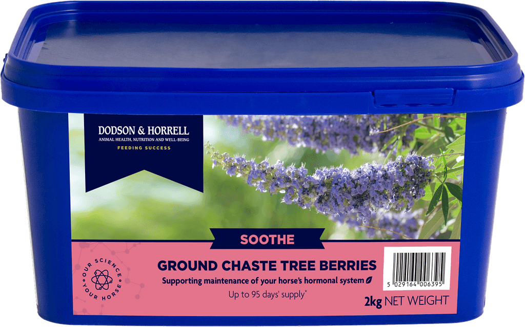 Chaste Tree Berries 2 kg - 3