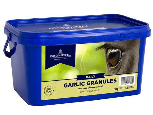 Garlic Granules