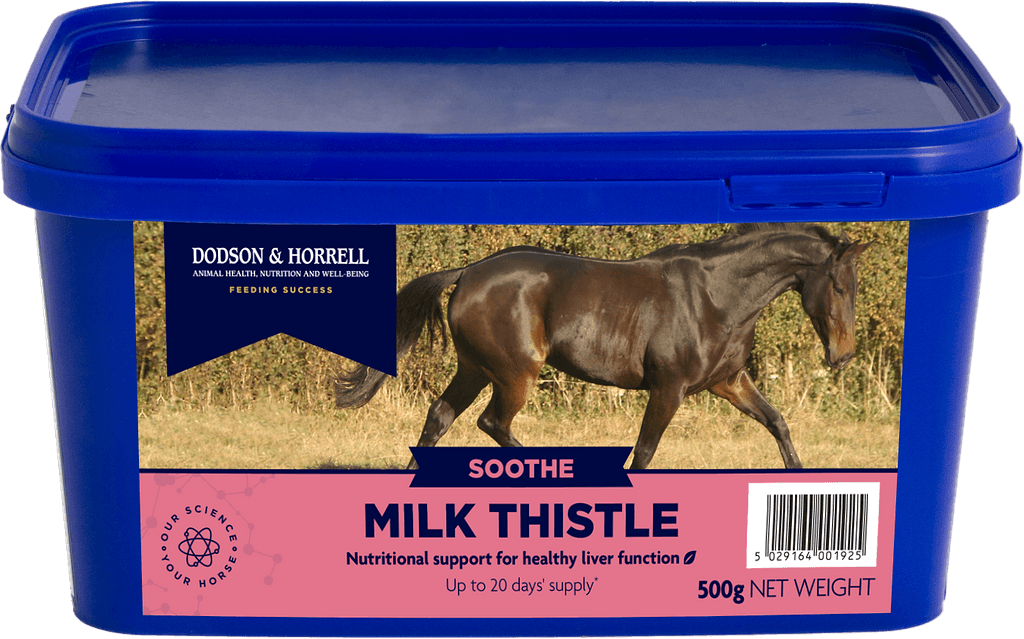 Milk Thistle - 3