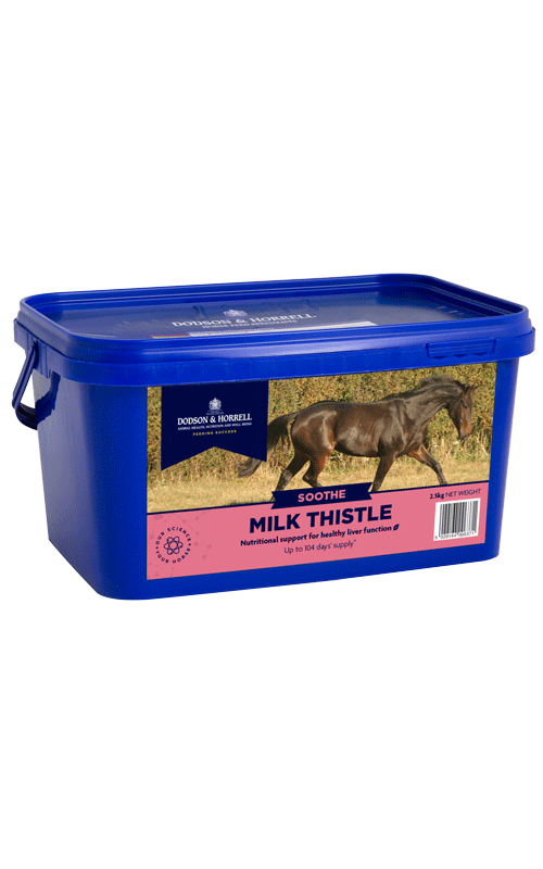 Milk Thistle