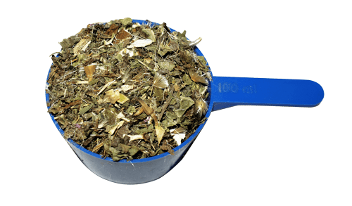 Milk Thistle - 2