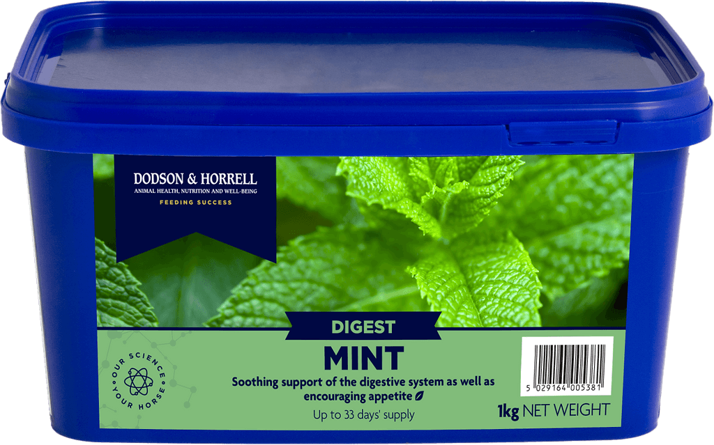 Mint - 3