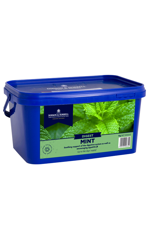 Mint