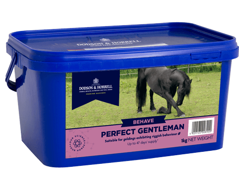 Perfect Gentleman 1 kg