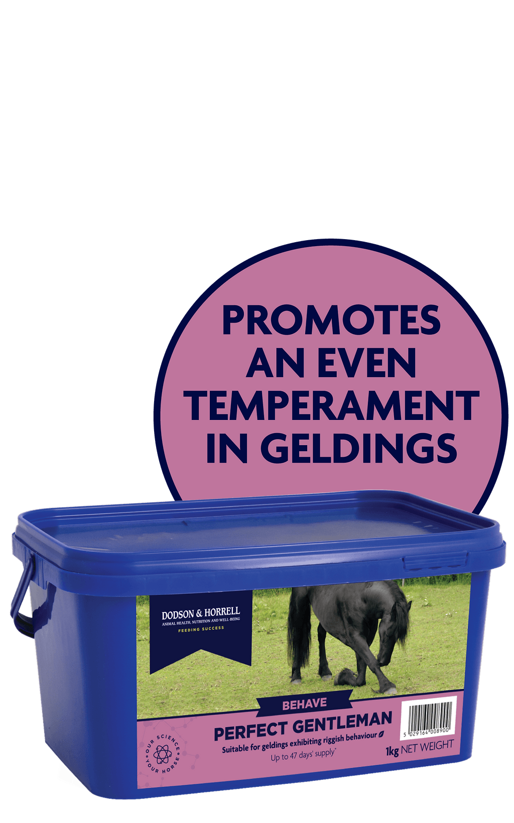 Perfect Gentleman 1 kg - 4