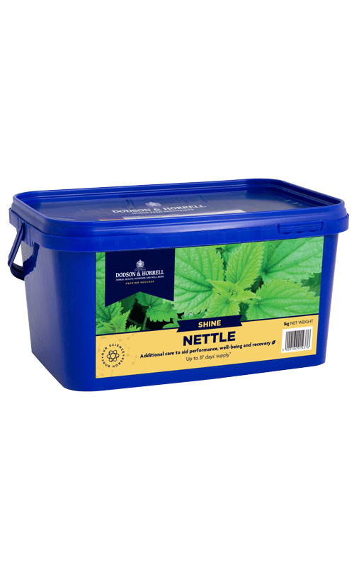 Nettle
