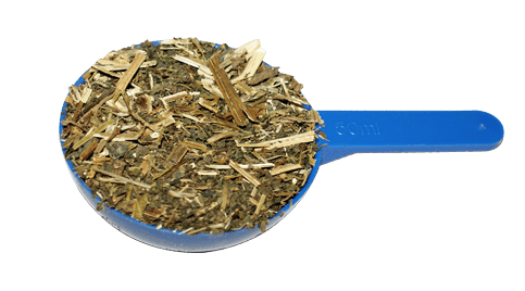 Nettle - 2
