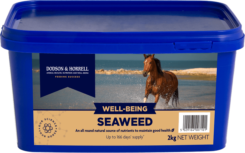 Seaweed - 3