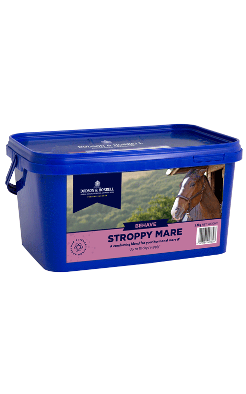 Stroppy Mare