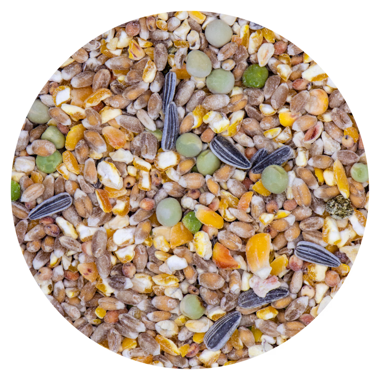 GraanMix +Zonnepitten/Erwten 20 kg
