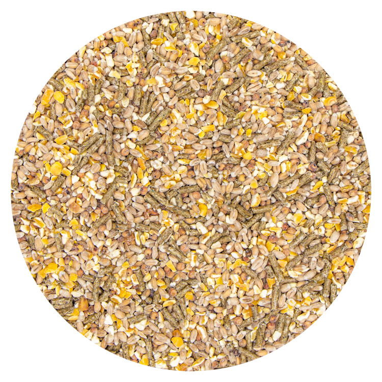 GraanMix +Legkorrel 20 kg