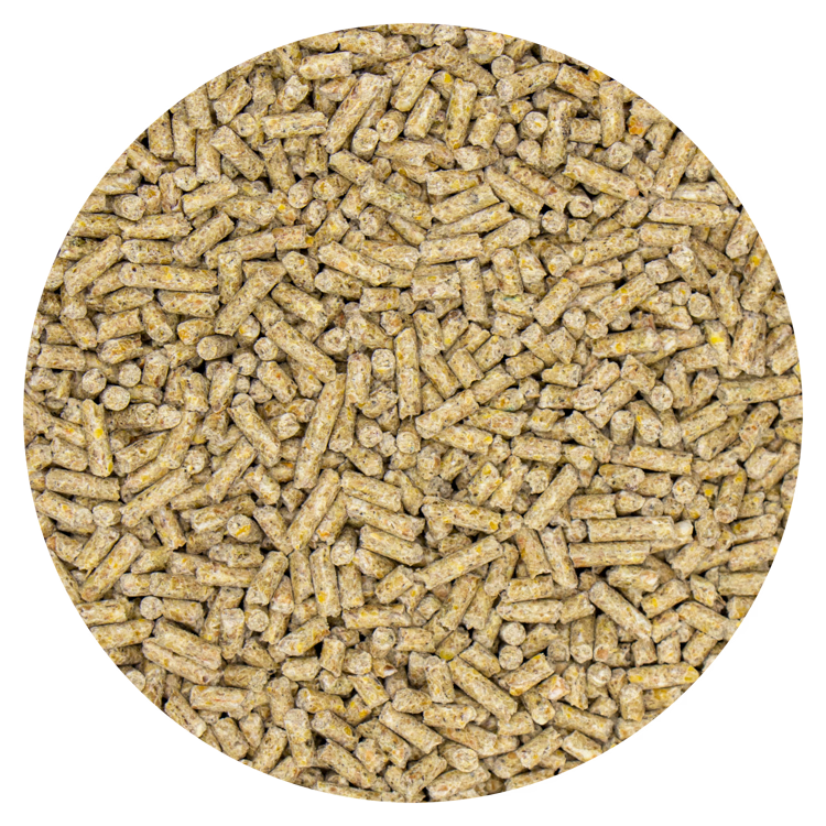 Legkorrel 20 kg
