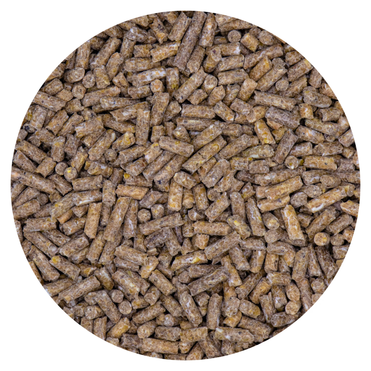 Kalkoenkorrel Groei 20 kg