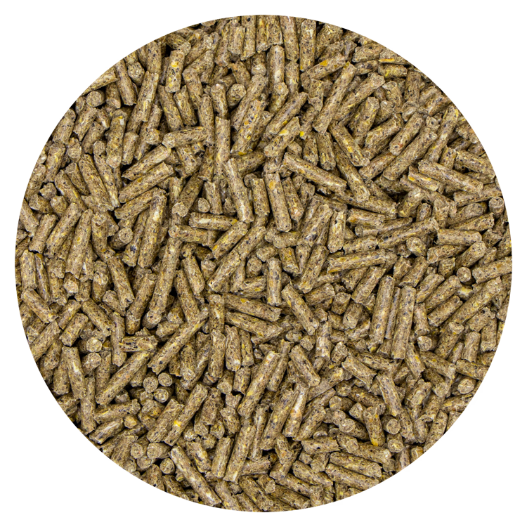 Struisvogelkorrel 20 kg