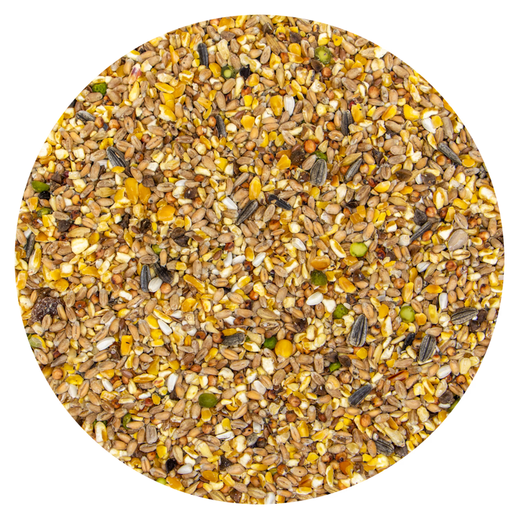 Garden-Mix - 20 kg