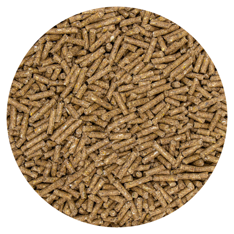 Schapenkorrel Allround 20 kg