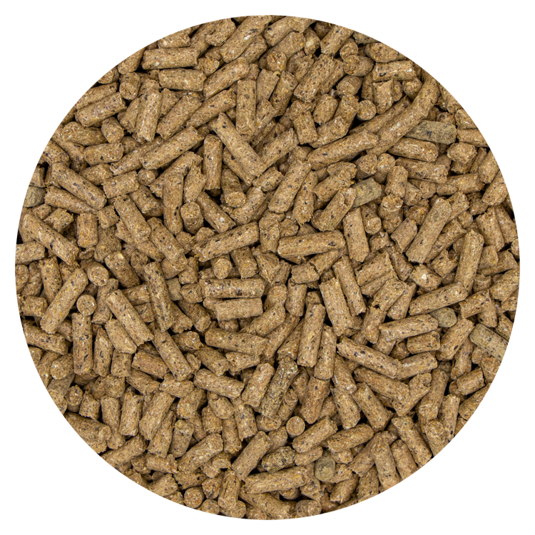 Horse Basic Cubes 20 kg