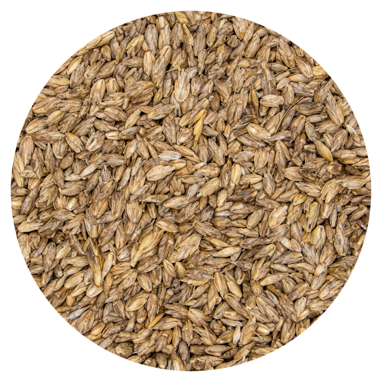 Spelt 12,5 kg