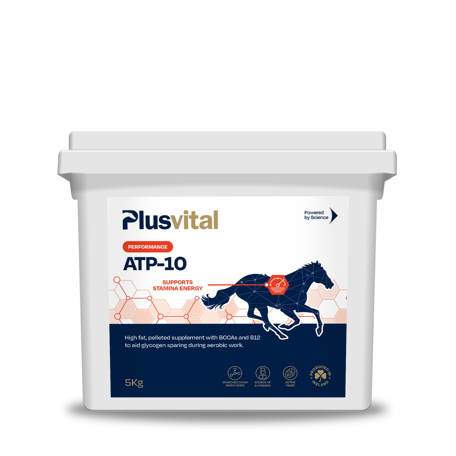 ATP-10 5 kg