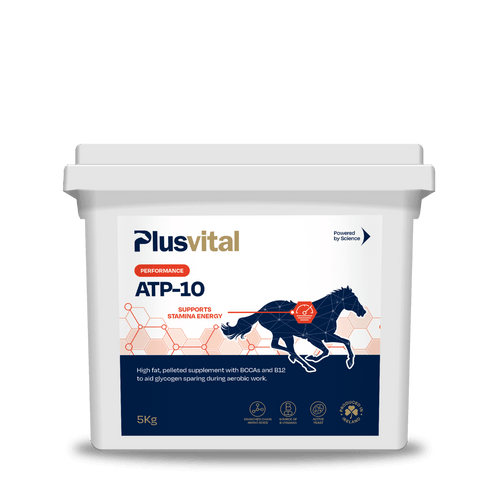 ATP-10 5 kg