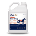 Iron Syrup 5 l