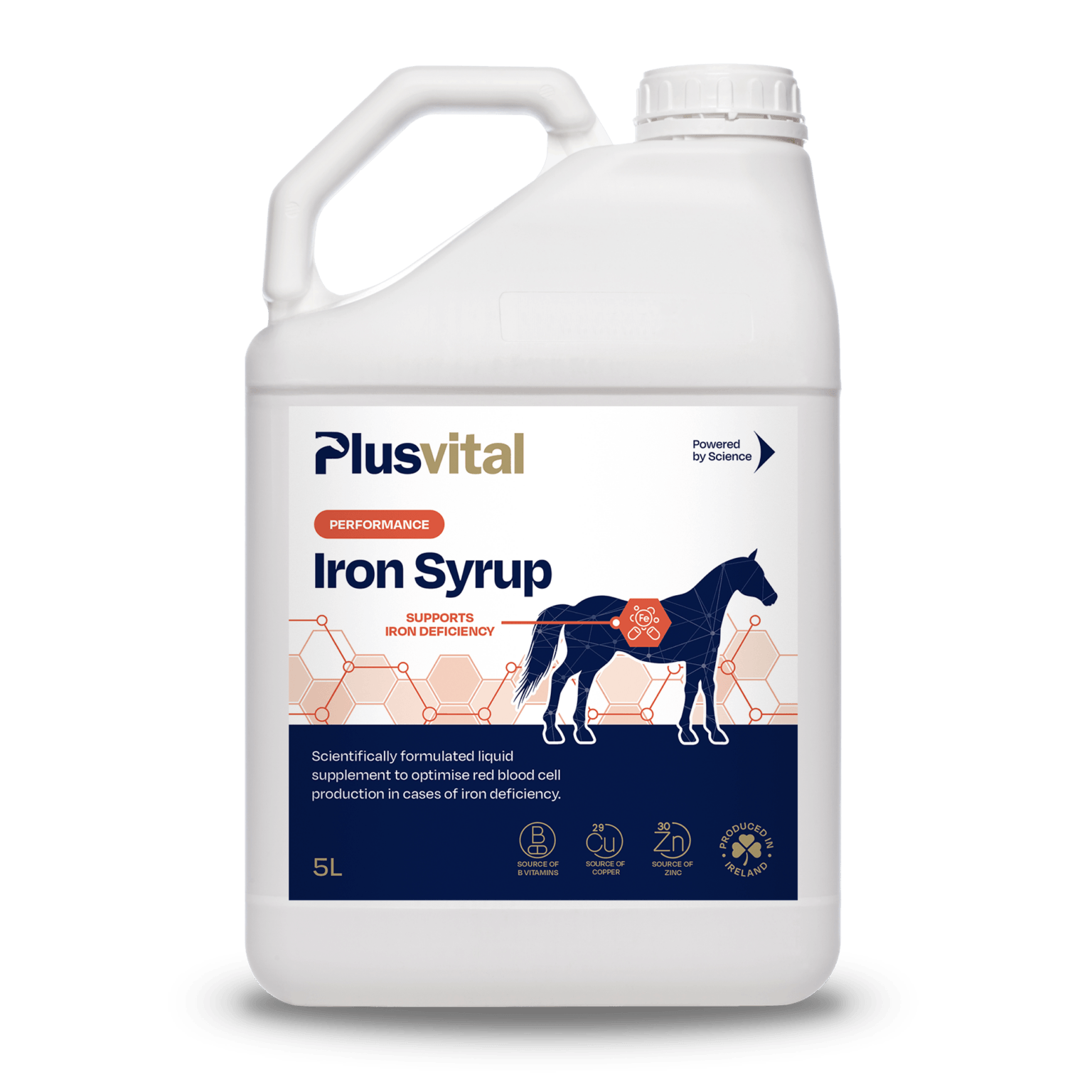 Iron Syrup 5 l