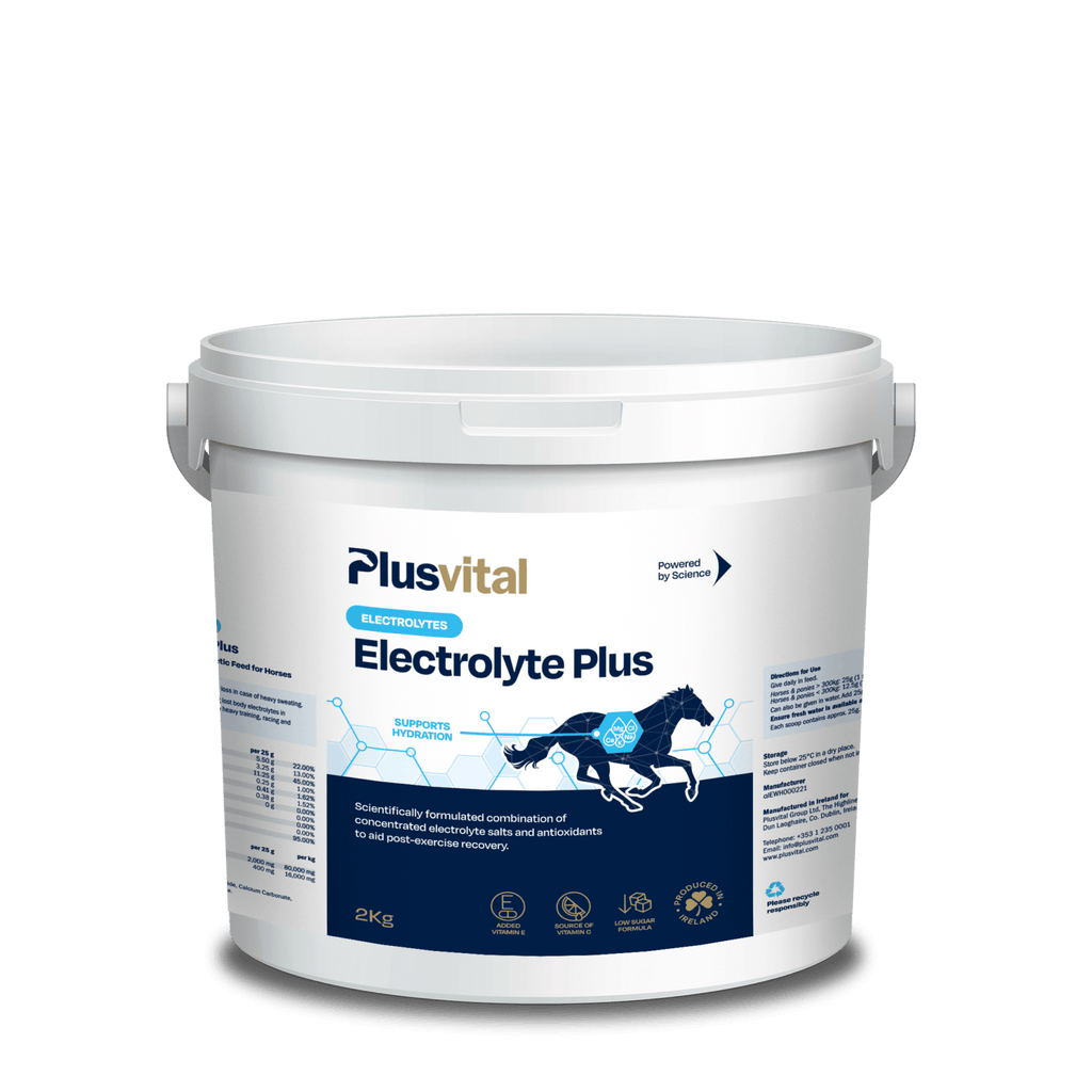 Electrolyte Plus