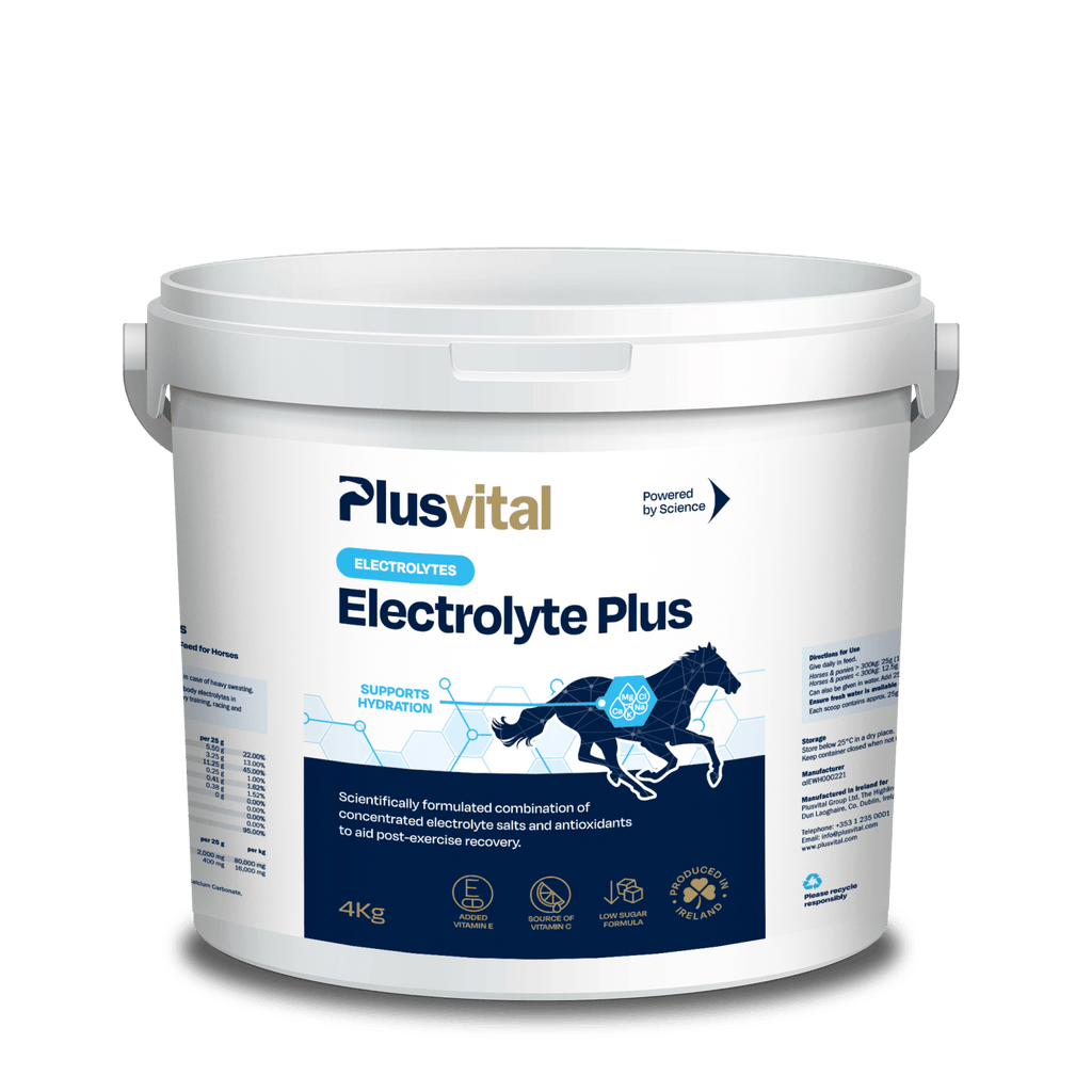 Electrolyte Plus - 2